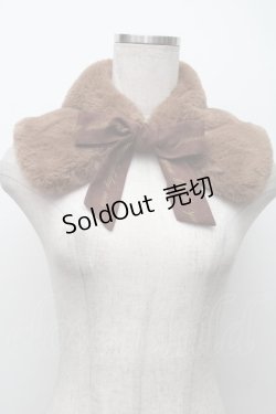 画像1: F i.n.t / ロゴリボンエコファーティペット  ブラウン S-25-11-14-012-CA-SK-HR-ZS