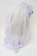 画像2: Angelic Pretty / Holy Theaterベール付ヘッドドレス  ラベンダー S-25-11-18-014-AP-AC-HR-ZS (2)