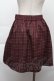 画像2: F i.n.t / ロゴ刺繍入りサイドプリーツチェックミニスカート  ワイン S-25-11-26-052-CA-SK-HR-ZS (2)