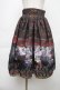 画像1: ALICE and the PIRATES / 運命のアルカナと星が導く FORTUNE TELLER柄スカート  イグニス(黒) S-25-11-28-1056-PA-SK-AS-ZS (1)