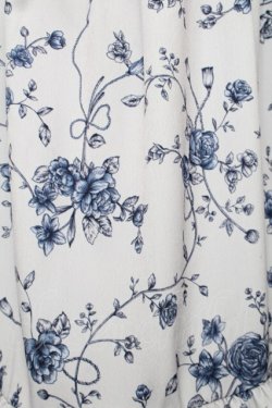 画像3: axes femme POETIQUE / トワルドジュイ風花柄ワンピース  サックス S-25-12-02-037-AX-OP-AS-ZS