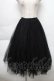 画像1: titty&Co. / チュールロングスカート  黒 S-25-12-02-049-LO-SK-HR-ZS (1)
