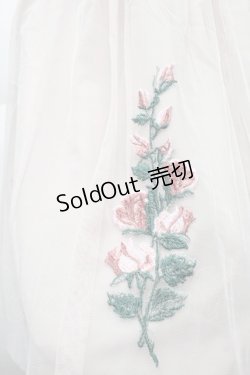 画像3: an another angelus / フラワー刺繍チュールスカート  ベージュ S-25-12-02-050-CA-SK-HR-ZS