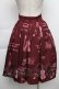 画像2: Innocent World / オーケストラの楽器柄スカート  ワイン S-25-12-02-054-IW-SK-AS-ZS (2)