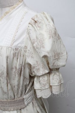 画像4: Hoshibako Works / エグランティーヌ フロントオープンリボンドレス  オフ S-25-12-07-055-LO-OP-AS-ZS