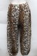 画像2: HELL CAT PUNKS / レオパードパンツ  ブラウン S-25-12-11-058-PU-PA-AS-ZS (2)