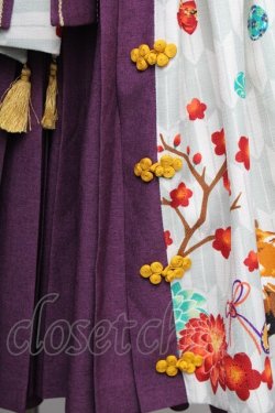 画像7: metamorphose / 春告げ鳥の恋うらら前プリーツジャンパースカート  ミントｘ紫 S-25-12-20-007-ME-OP-AS-ZS