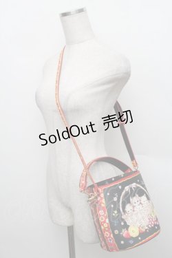 画像4: Franche Lippee / バスケットねこバッグ  黒 S-25-12-25-016-LO-BL-HR-ZS