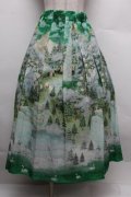 Franche Lippee / nature丈長スカート 3L グリーン S-25-12-28-043-LO-BL-HR-ZS
