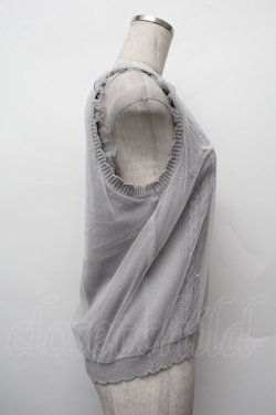 画像3: axes femme POETIQUE / チュールレイヤードニットベスト  グレー S-26-01-10-018-AX-TO-AS-ZS