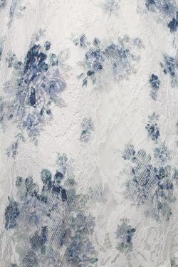 画像3: axes femme / フラワーレーススカート  オフｘブルー S-26-01-21-043-AX-SK-AS-ZS