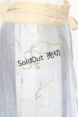 画像3: 中国ロリータ / 漢服 スカート  サックス S-26-01-21-052-LO-SK-HR-ZS