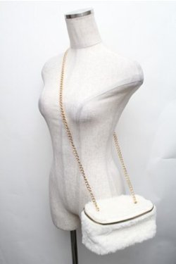 画像3: LOLITA / ファーショルダーポーチ  オフ S-26-01-26-007-LO-BG-HR-ZS