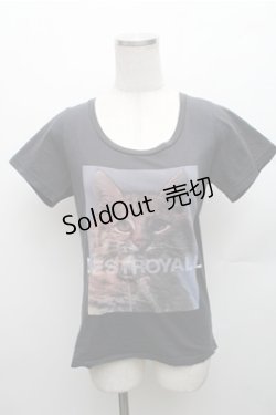 画像1: HYSTERIC GLAMOUR / 猫プリントTシャツ F 黒 S-26-01-26-024-PU-TO-TE-ZS