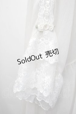 画像3: axes femme / シアー×チュールレースガウン F オフ S-26-01-29-018-AX-TO-TE-ZS