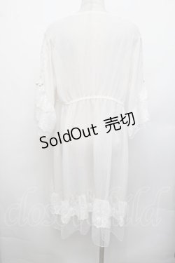 画像4: axes femme / シアー×チュールレースガウン F オフ S-26-01-29-018-AX-TO-TE-ZS