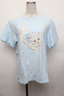 画像1: Nile Perch / プリントＴシャツ  サックス S-26-01-29-025-LO-TO-AS-ZS