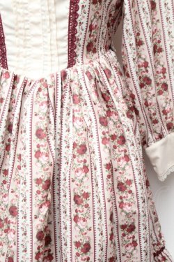 画像2: axes femme kawaii / ストライプローズ柄ワンピース  ベージュｘワイン S-26-02-05-045-AX-OP-AS-ZS