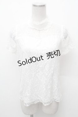 画像1: Jamie エーエヌケー / 総レース半袖カットソー  白 S-26-02-06-020-LO-TO-HR-ZS