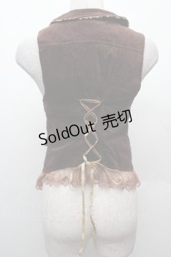 画像2: axes femme / バラ刺繍ベロアベスト  ブラウン S-26-02-09-016-AX-TO-HR-ZS
