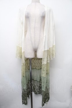 画像1: axes femme / グラデーションレースガウン  グリーンＸオフ S-26-02-13-021-AX-TO-AS-ZS