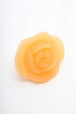 画像1: Q-pot. / オレンジローズ パート ドゥ フリュイ リング  オレンジ S-26-02-19-035-QP-AC-HR-ZS