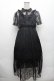 画像1: Ank Rouge / プリーツレースワンピース  黒 S-26-02-23-054-CA-OP-HR-ZS (1)