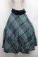 画像1: an another angelus / ビッグチェックフレアースカート F グリーン×ネイビー S-26-03-06-056-CA-SK-TE-ZS (1)