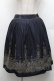 画像1: Jane Marple / ラメ刺繍スカート  紺 S-26-03-06-057-JM-SK-AS-ZS (1)