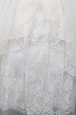 画像3: axes femme POETIQUE / バックフリルチュールスカート  オフ S-26-03-15-058-AX-SK-AS-ZS (3)