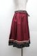 画像2: axes femme POETIQUE / バイカラープリーツスカート  ワイン S-26-03-19-057-AX-SK-HR-ZS (2)