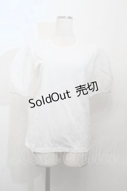 画像1: Jane Marple / チュール袖Tシャツ  白 S-26-03-28-020-JM-TS-AS-ZS