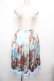 画像1: Triple fortune / 天空薔薇スカート  サックス S-26-03-29-1035-EL-SK-HR-ZS (1)