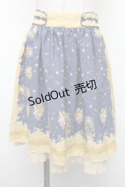 画像1: axes femme / スカート   S-26-04-01-1005-AX-SK-AS-ZS