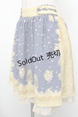 画像3: axes femme / スカート   S-26-04-01-1005-AX-SK-AS-ZS