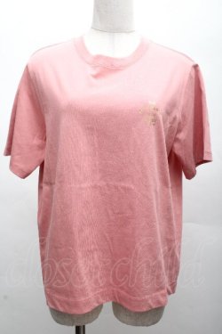 画像1: Jane Marple / 40THアニバーサリーティーシャツ R ピンク S-26-04-07-041-JM-TO-AS-ZS