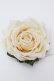 画像1: PINK HOUSE / ホワイトローズコサージュ  白 S-26-04-07-008-LO-ZA-HR-ZS (1)