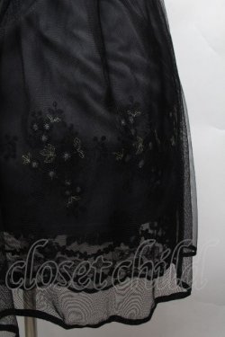 画像2: axes femme POETIQUE / お花刺繍チュールスカート  黒 S-26-04-12-060-AX-SK-HR-ZS
