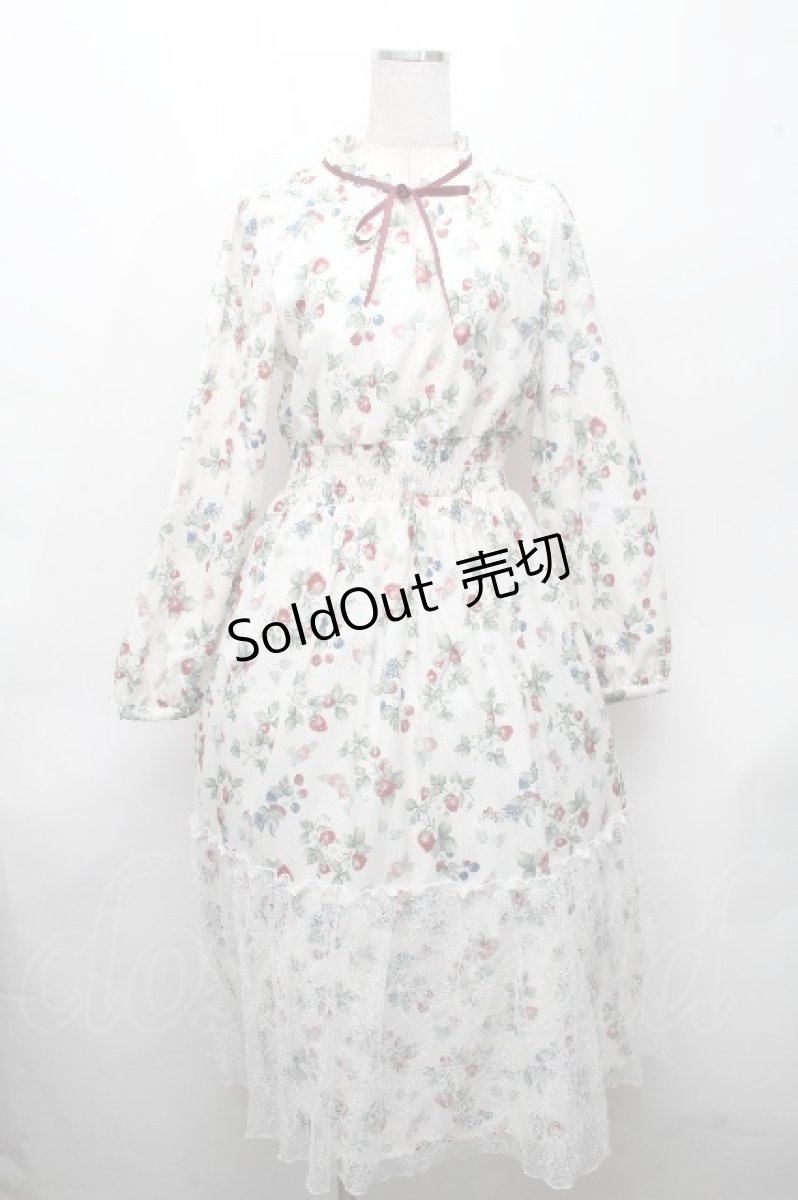 画像1: axes femme / ベリー柄ロングワンピース  アイボリー S-26-04-18-1045-AX-OP-HR-ZS (1)