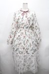 画像1: axes femme / ベリー柄ロングワンピース  アイボリー S-26-04-18-1045-AX-OP-HR-ZS (1)