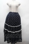 画像1: Jane Marple / Sprinkled flowers レーストリミングスカート M ネイビー S-26-04-19-057-JM-SK-SZ-ZS (1)