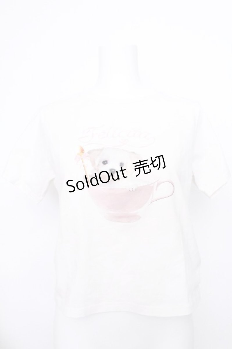 画像1: evelyn / 犬プリントTシャツ  白 S-26-05-20-009-LO-TS-HR-ZS (1)
