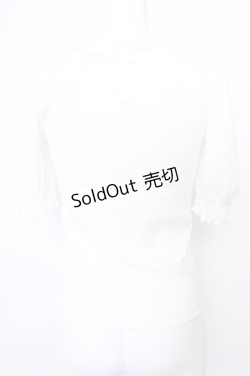 画像2: Ank Rouge / チュール切り替えテレコTシャツ  白 S-26-05-20-011-CA-TO-HR-ZS (2)