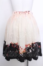 画像2: Franche Lippee / アリススカート M マルチ S-26-05-24-050-LO-SK-TE-ZS (2)