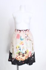 画像1: Franche Lippee / アリススカート M マルチ S-26-05-27-056-LO-SK-TE-ZS (1)