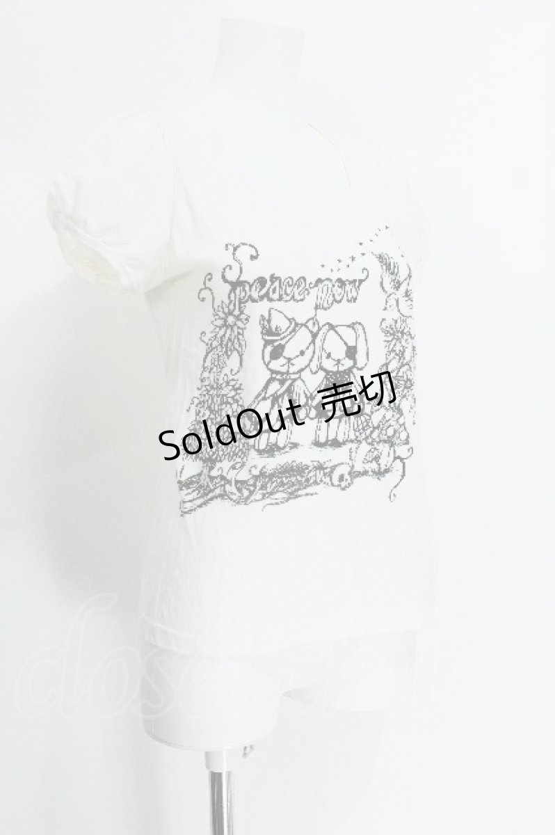 画像3: PEACE NOW / プリントパフ袖カットソー  オフ S-26-05-29-029-PU-TO-HR-ZS (3)