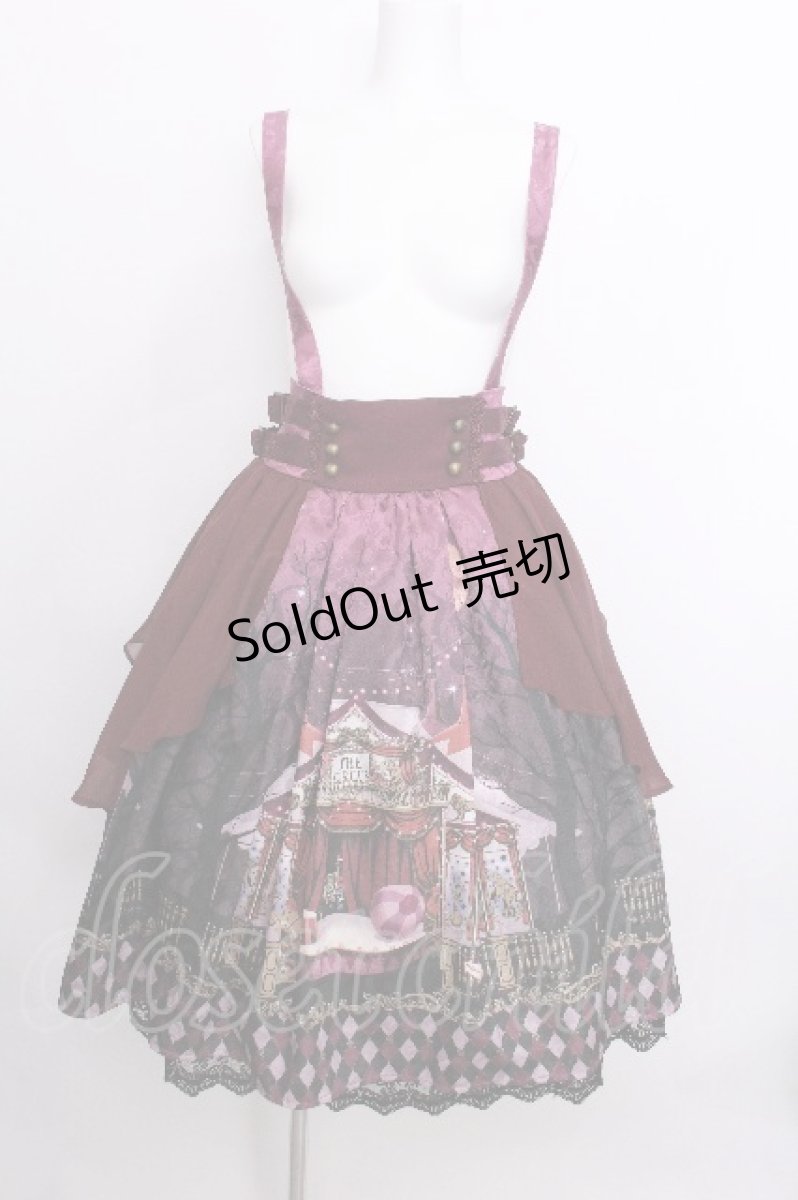 画像1: axes femme kawaii / シルクノクターンスカート  ワイン S-26-07-04-061-AX-SK-HR-ZS (1)