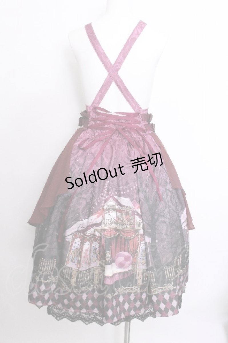 画像3: axes femme kawaii / シルクノクターンスカート  ワイン S-26-07-04-061-AX-SK-HR-ZS (3)