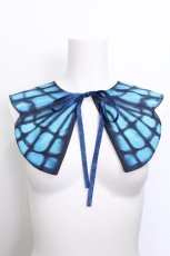 画像1: Royal Princess Alice / Fairy Butterfly2025　つけ襟  赤 S-26-07-06-021-LO-ZA-AS-ZS (1)