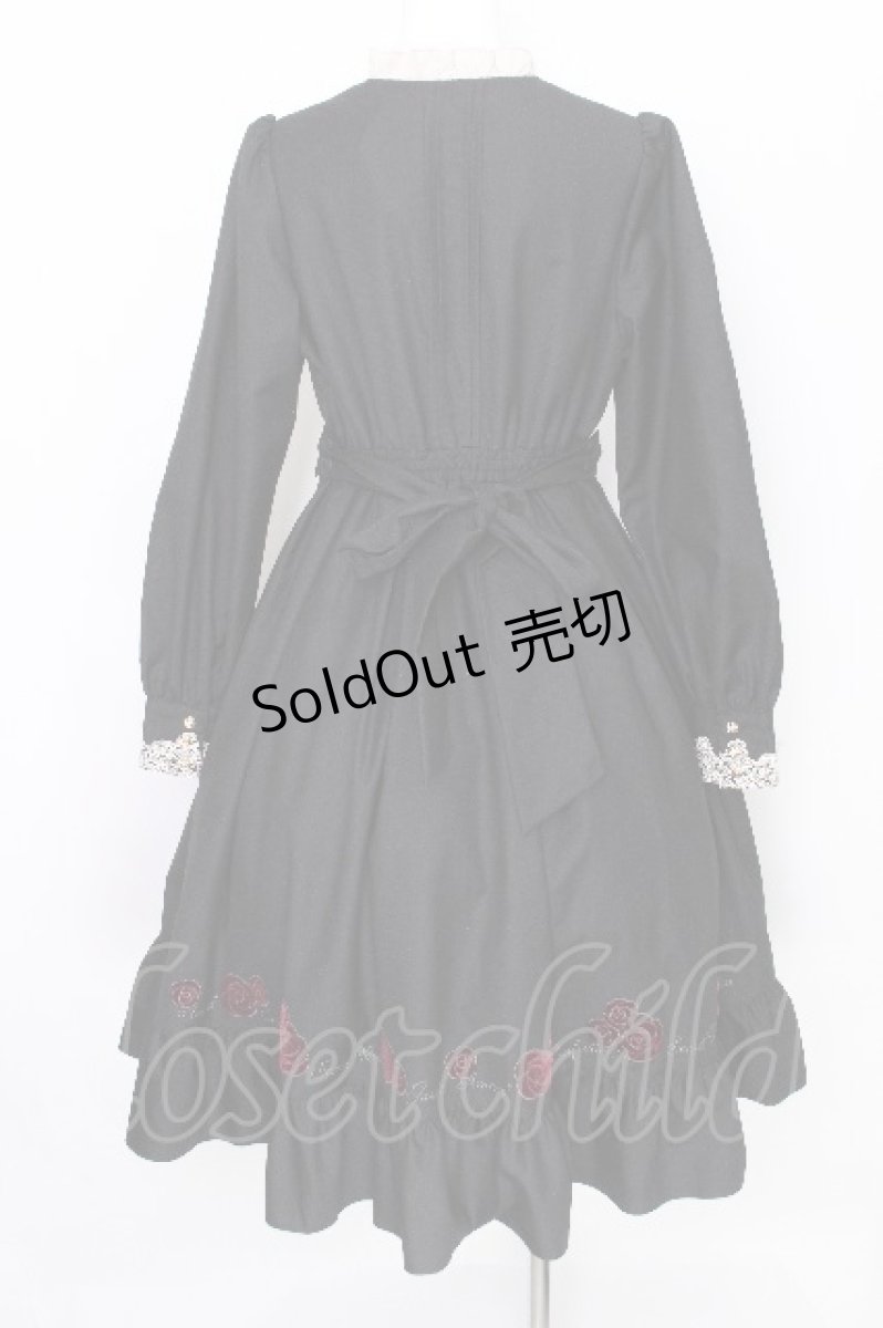 画像2: Amavel / Secret Rose Gardenワンピース  黒 S-26-08-09-035-CA-OP-AS-ZS (2)